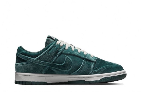 ua nike sb dunk