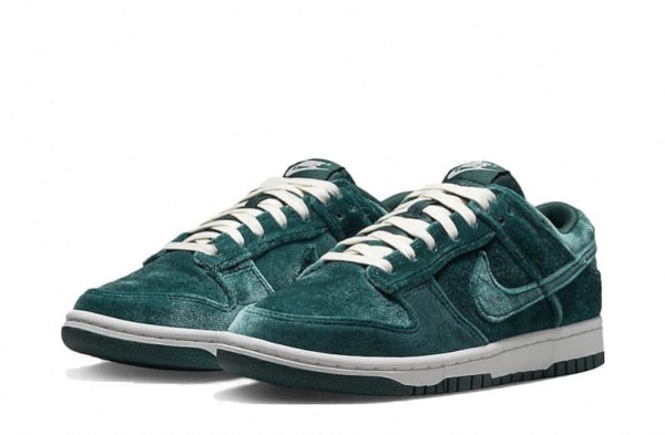 ua nike sb dunk